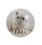だいふく〜4（個別スタンプ：10）