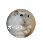 だいふく〜4（個別スタンプ：12）