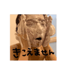 ぼくの名前はけんたくん（個別スタンプ：11）