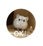 だいふく〜5（個別スタンプ：4）