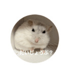 だいふく〜5（個別スタンプ：8）