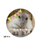 だいふく〜5（個別スタンプ：10）