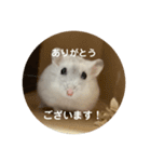 だいふく〜5（個別スタンプ：11）
