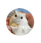 だいふく〜5（個別スタンプ：12）
