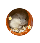 だいふく〜5（個別スタンプ：13）