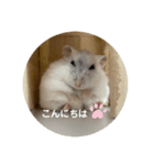 だいふく〜5（個別スタンプ：14）