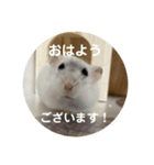 だいふく〜5（個別スタンプ：16）