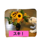 シュナマル みっく（個別スタンプ：4）
