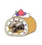 runasonaスタンプPart2（シーズー♂）（個別スタンプ：1）