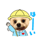 runasonaスタンプPart2（シーズー♂）（個別スタンプ：7）
