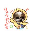 runasonaスタンプPart2（シーズー♂）（個別スタンプ：8）
