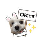 runasonaスタンプPart2（シーズー♂）（個別スタンプ：9）
