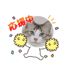 愛猫アリス（個別スタンプ：22）