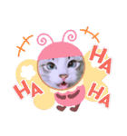 愛猫アリス（個別スタンプ：28）