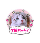 愛猫アリス（個別スタンプ：34）