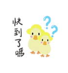 Duck-ドラダック（個別スタンプ：28）