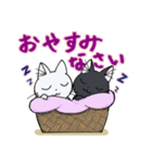 白にゃん 黒にゃん（個別スタンプ：16）