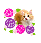 葵＆優（個別スタンプ：12）