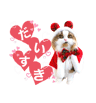 葵＆優（個別スタンプ：23）