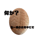猫スタンプ ちーちゃん3（個別スタンプ：4）