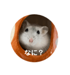 だいふく〜6  やばい時（個別スタンプ：1）