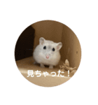 だいふく〜6  やばい時（個別スタンプ：7）