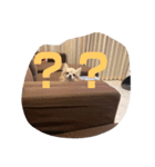 チョコとさくら12（個別スタンプ：3）