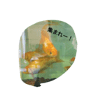 金魚の知らせ❤（個別スタンプ：6）
