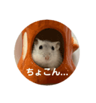 だいふく〜8（個別スタンプ：1）