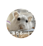 だいふく〜8（個別スタンプ：2）