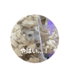 だいふく〜8（個別スタンプ：3）