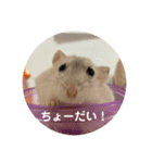だいふく〜8（個別スタンプ：7）