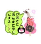 愛犬♡ハナコのスタンプ10☆（個別スタンプ：4）