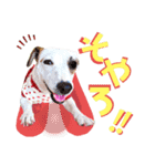 愛犬♡ハナコのスタンプ10☆（個別スタンプ：6）
