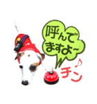 愛犬♡ハナコのスタンプ10☆（個別スタンプ：9）