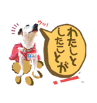 愛犬♡ハナコのスタンプ10☆（個別スタンプ：10）