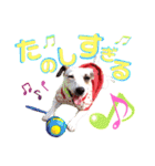 愛犬♡ハナコのスタンプ10☆（個別スタンプ：12）