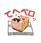 愛犬♡ハナコのスタンプ10☆（個別スタンプ：15）