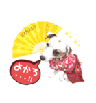 愛犬♡ハナコのスタンプ10☆（個別スタンプ：19）