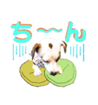 愛犬♡ハナコのスタンプ10☆（個別スタンプ：20）