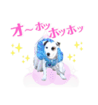 愛犬♡ハナコのスタンプ10☆（個別スタンプ：23）
