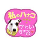 愛犬♡ハナコのスタンプ10☆（個別スタンプ：24）