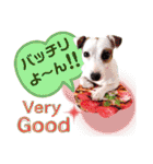 愛犬♡ハナコのスタンプ10☆（個別スタンプ：25）