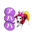 愛犬♡ハナコのスタンプ10☆（個別スタンプ：31）