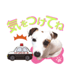愛犬♡ハナコのスタンプ10☆（個別スタンプ：33）