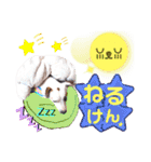 愛犬♡ハナコのスタンプ10☆（個別スタンプ：34）