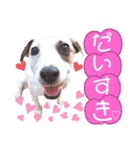 愛犬♡ハナコのスタンプ10☆（個別スタンプ：35）