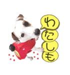 愛犬♡ハナコのスタンプ10☆（個別スタンプ：36）