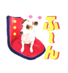 愛犬♡ハナコのスタンプ10☆（個別スタンプ：37）