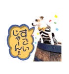 愛犬♡ハナコのスタンプ10☆（個別スタンプ：38）